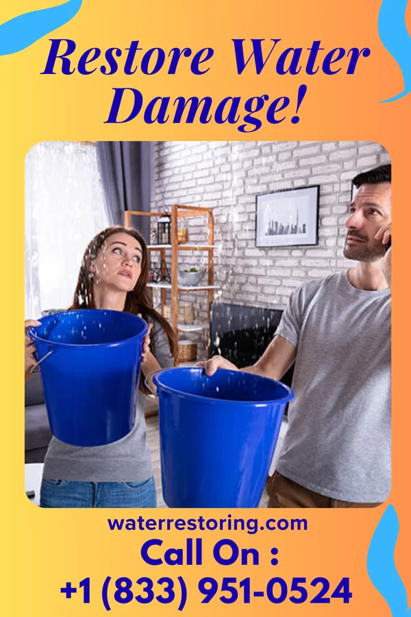 water restoration Silver Sewage Cleanup Group Ree Heights