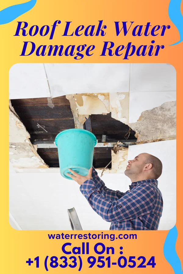 Roof Leak Water Damage Repair in Ree Heights, SD